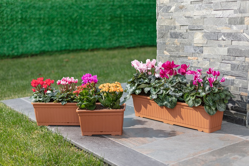 Serinova Küçük Balkon Saksı 4.3 Lt