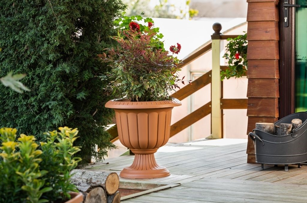 Serinova Kupa Saksı No:0 6 Lt