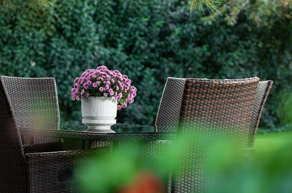 Serinova Lüks Çizgili Desenli Saksı 3.3 Lt