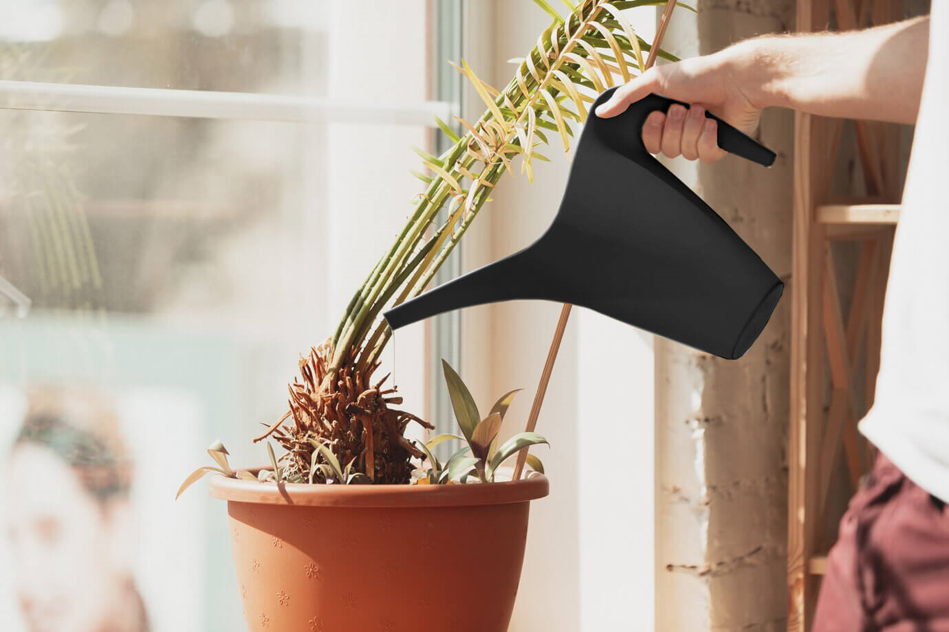 Serinova Sulama Kabı  2 Lt