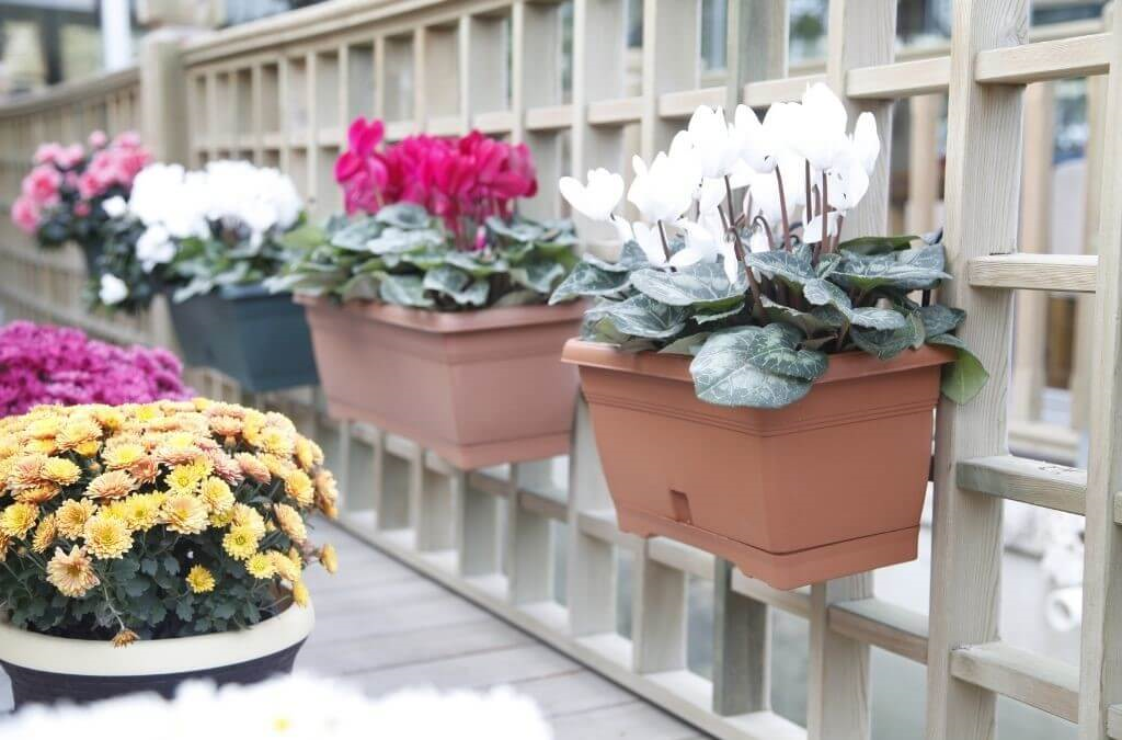 Serinova Villa Balkon Saksı 2.75 Lt