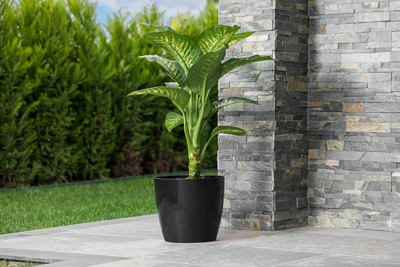 Serinova Yakut Parlak Separetörlü Saksı  4,40 Lt