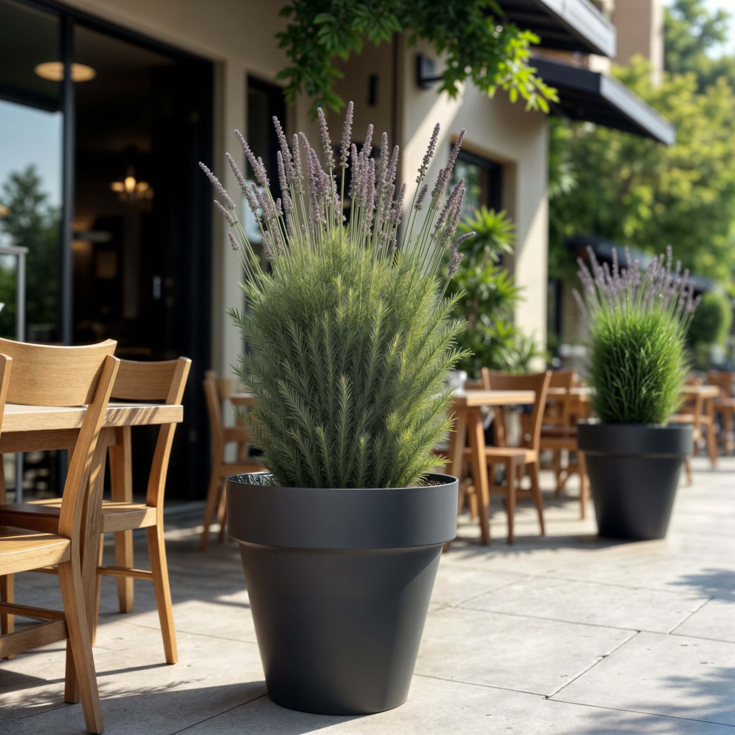 Serinova Yalı Saksı 6 Lt Separetörlü