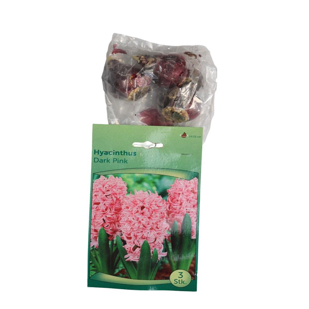 Sümbül Soğanı (Paket)
