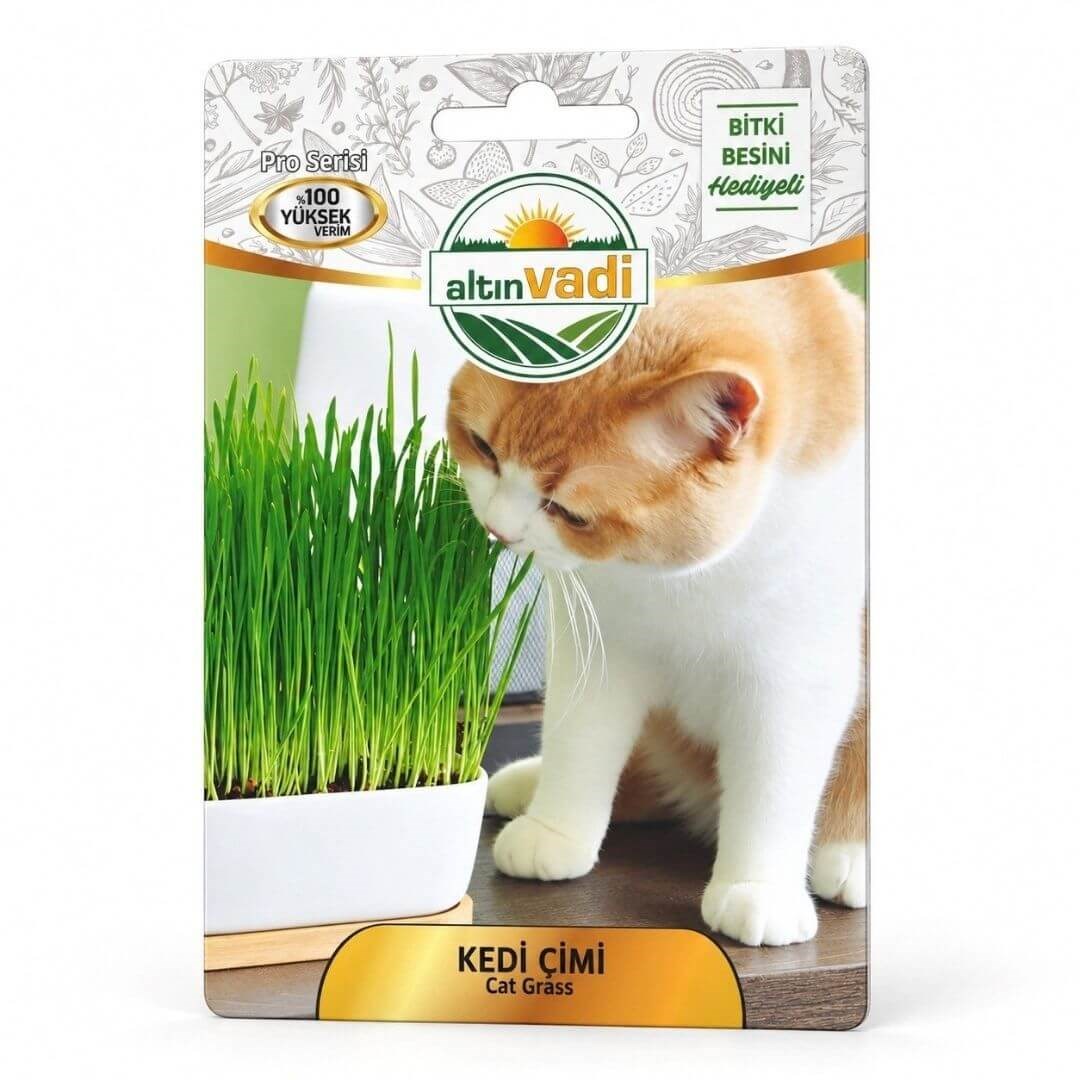 Sunagri Kedi Çimi Tohumu
