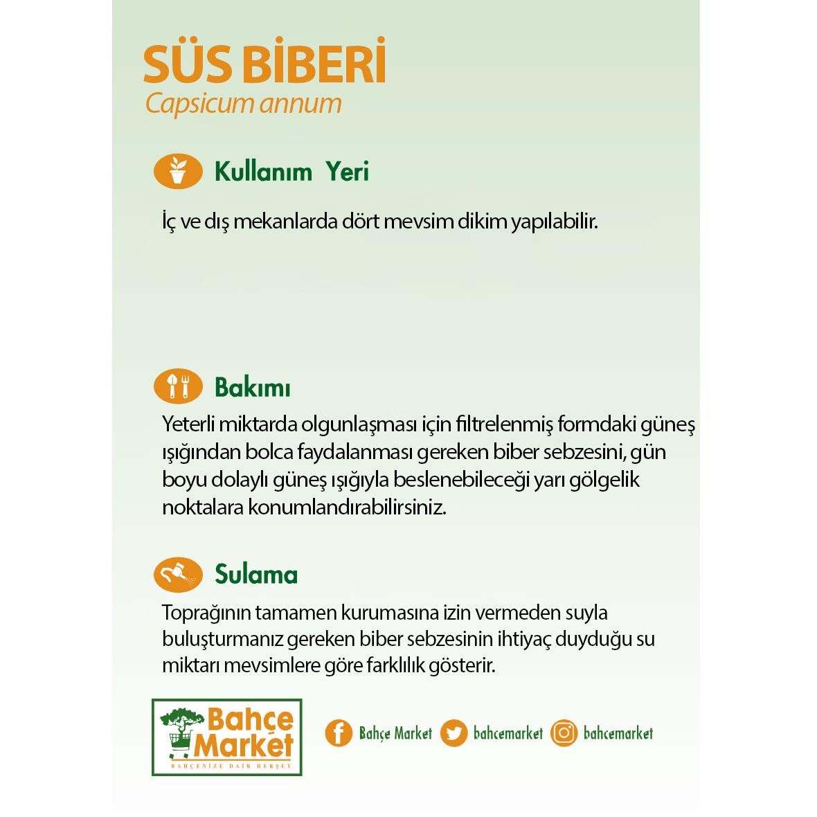 Süs Biberi - Cin Biberi Mix 9Ø 10-20 Cm