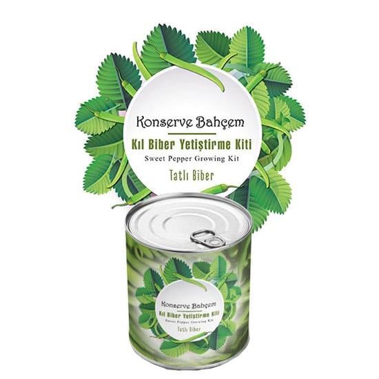 Tatlı Biber Dikim Kiti