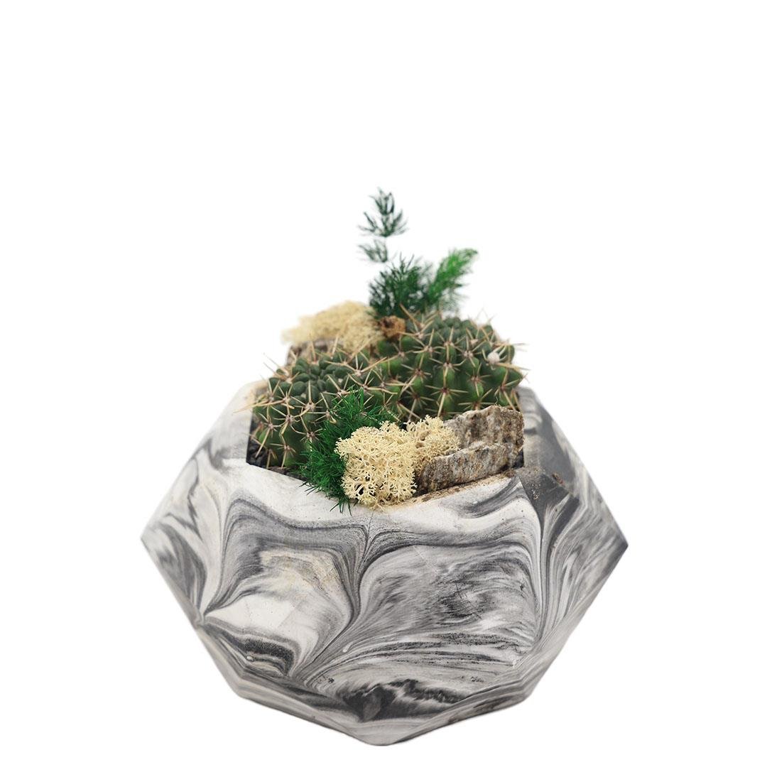 Terrarium (Terraryum) Aranjman-11