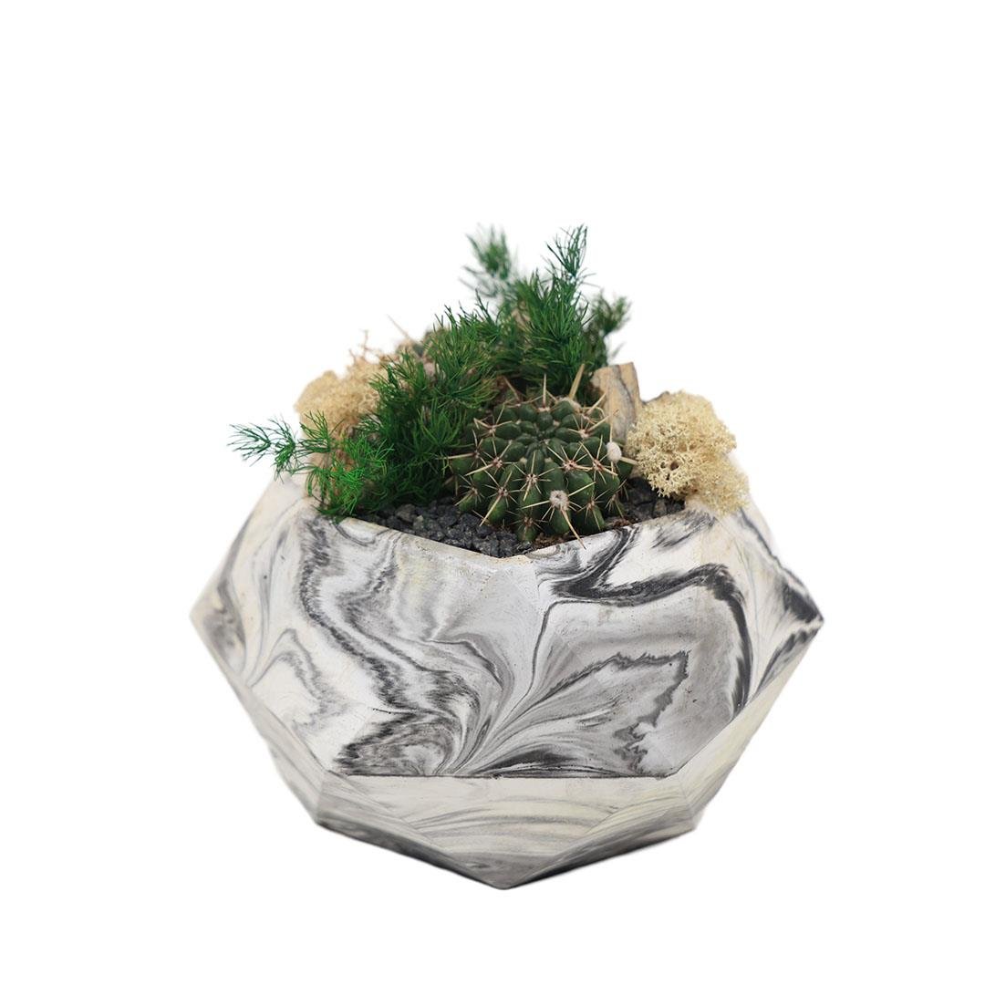 Terrarium (Terraryum) Aranjman-11