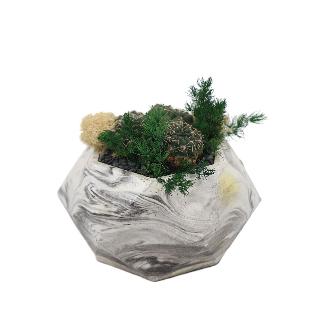 Terrarium (Terraryum) Aranjman-11