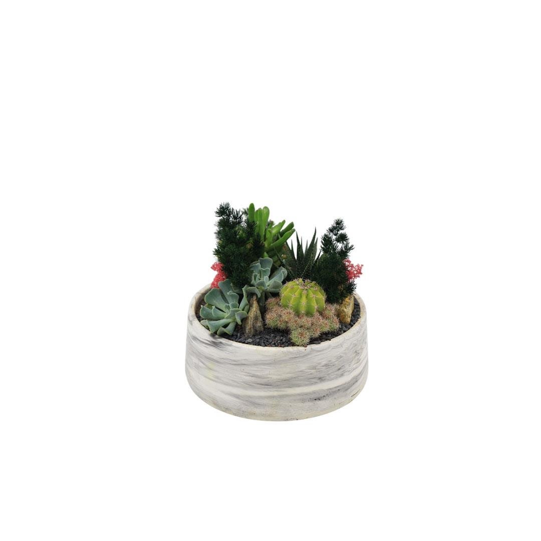Terrarium (Terraryum) Aranjman 13