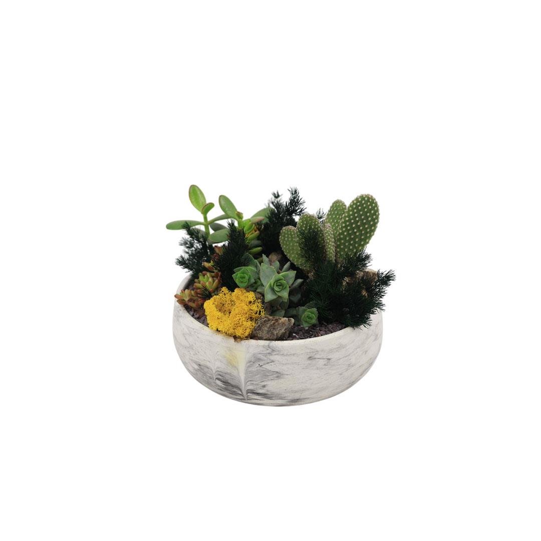 Terrarium (Terraryum) Aranjman 13