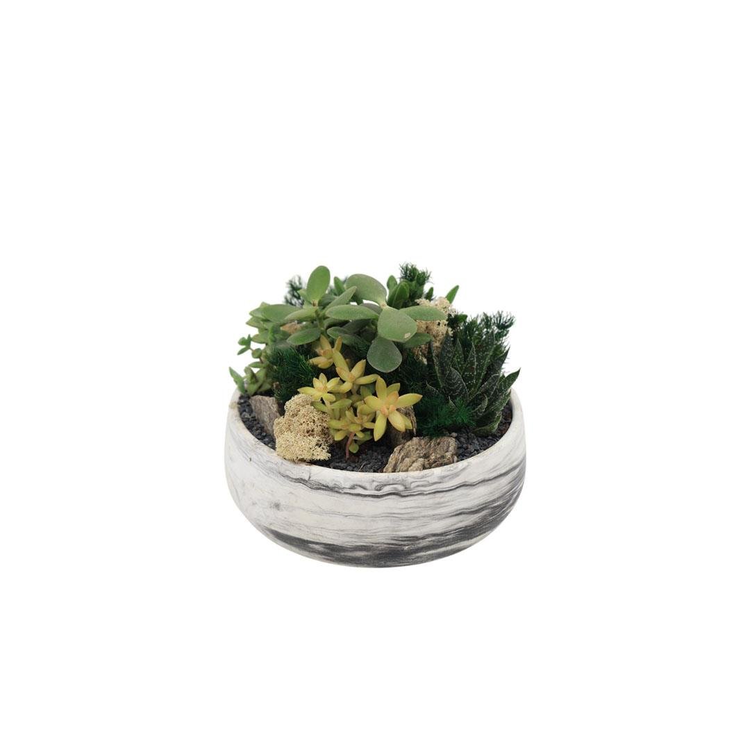 Terrarium (Terraryum) Aranjman 13