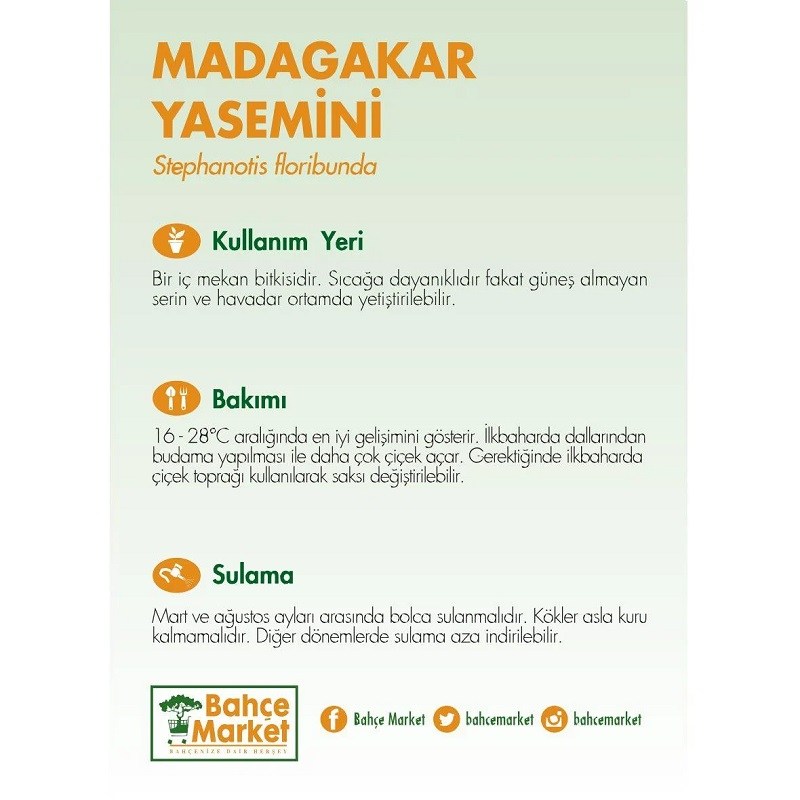 Yasemin Madagaskar 12 Çap