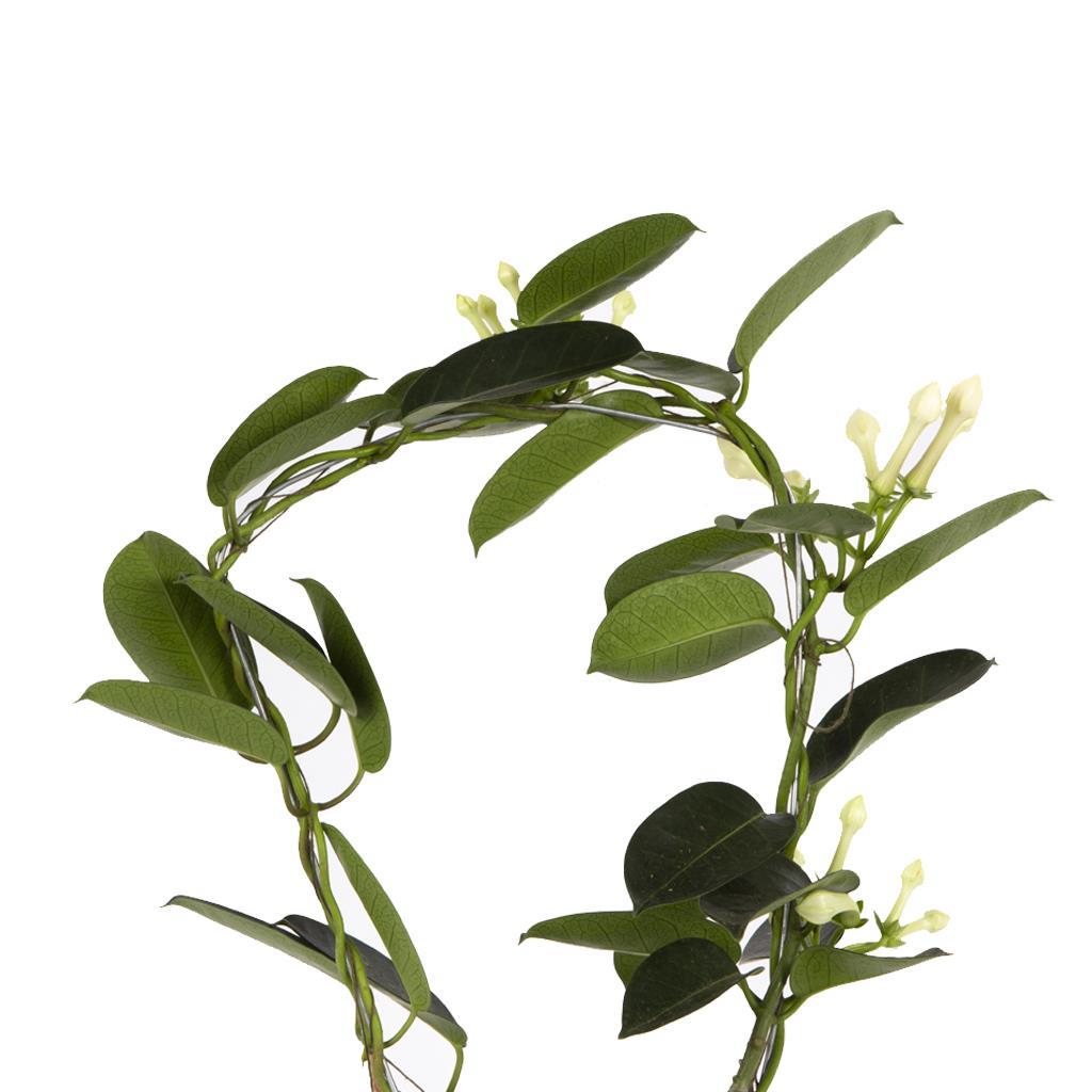 yasemin-madagaskar-3-db3a.jpg