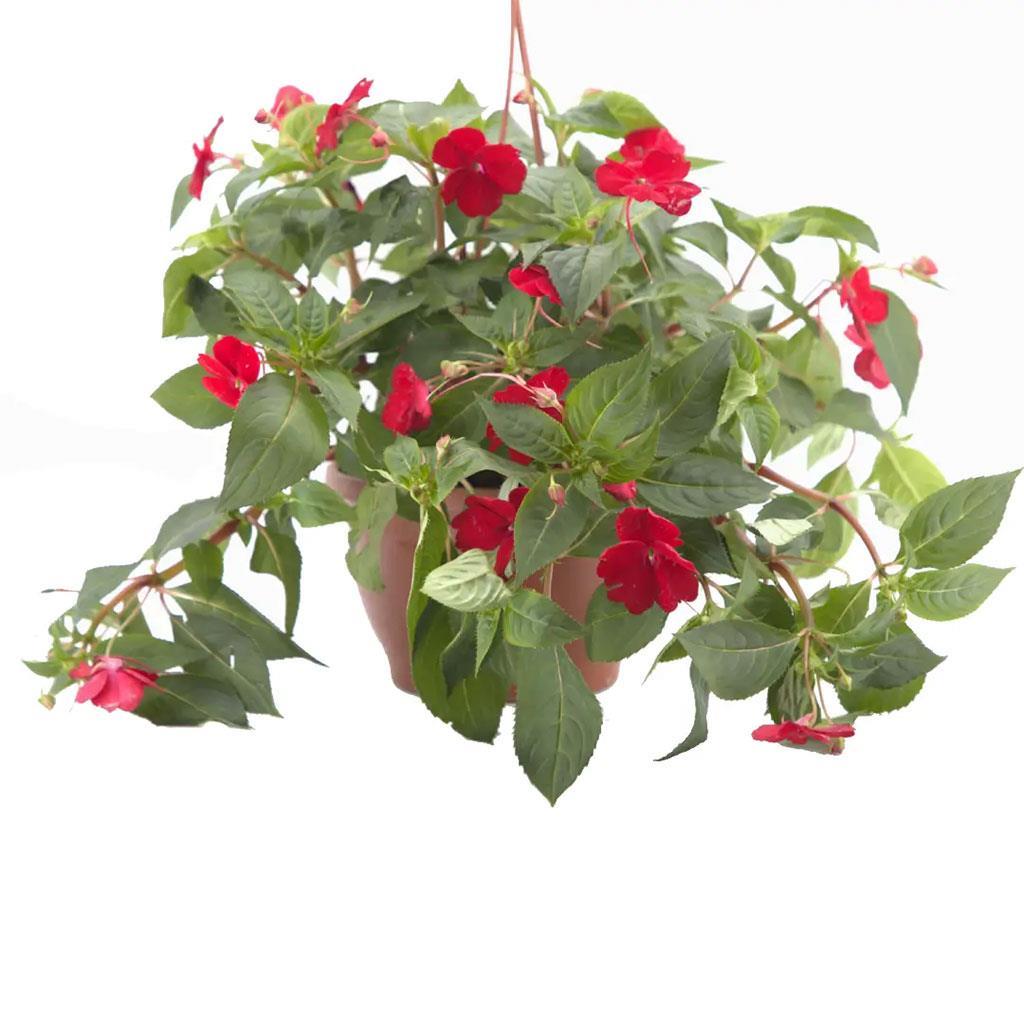 yeni-gine-askili-mix--e1ca2.jpg
