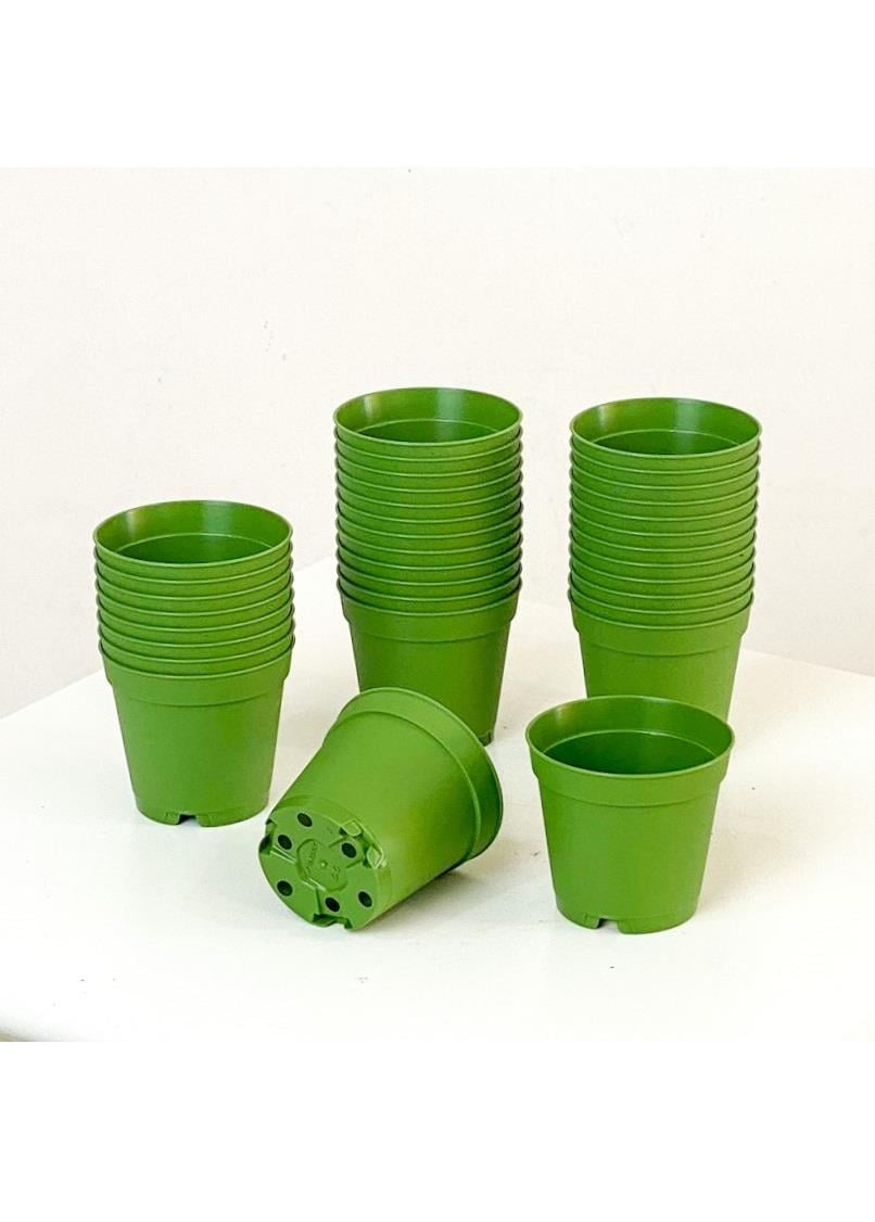 10 Adet 5.5 cm Sukulent Saksısı