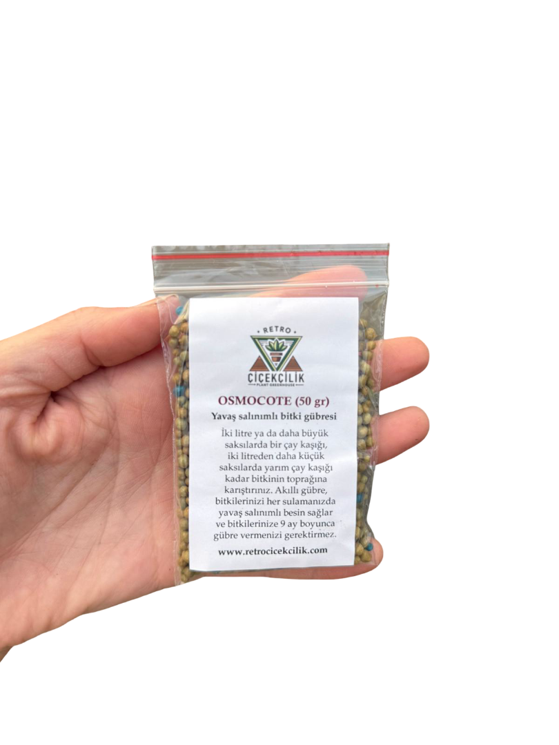 Hediyelik Bitki Seti Kutusu