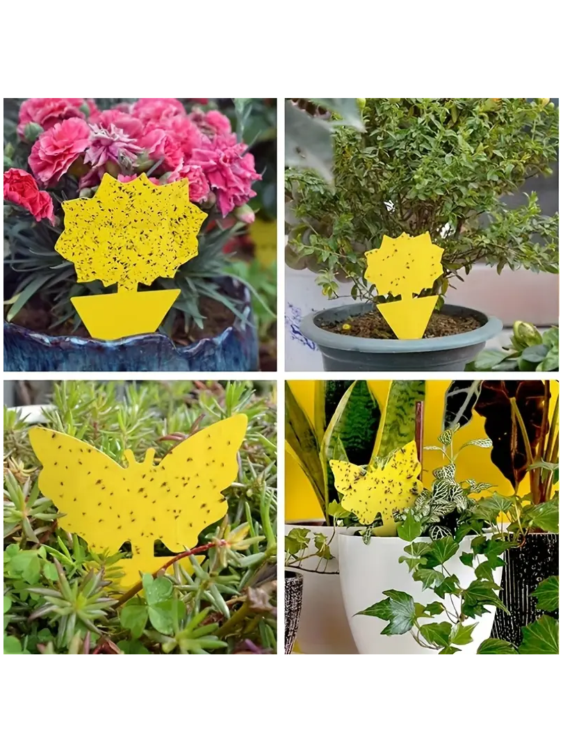 Sarı Sinek / Böcek Tuzağı 10 Adet Yıldız Desen