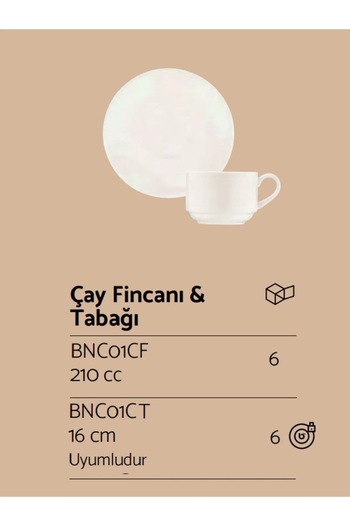 BANQUET SERİ 12 PARÇA ÇAY FİNCAN TAKIMI 210 CC BNC01CFT