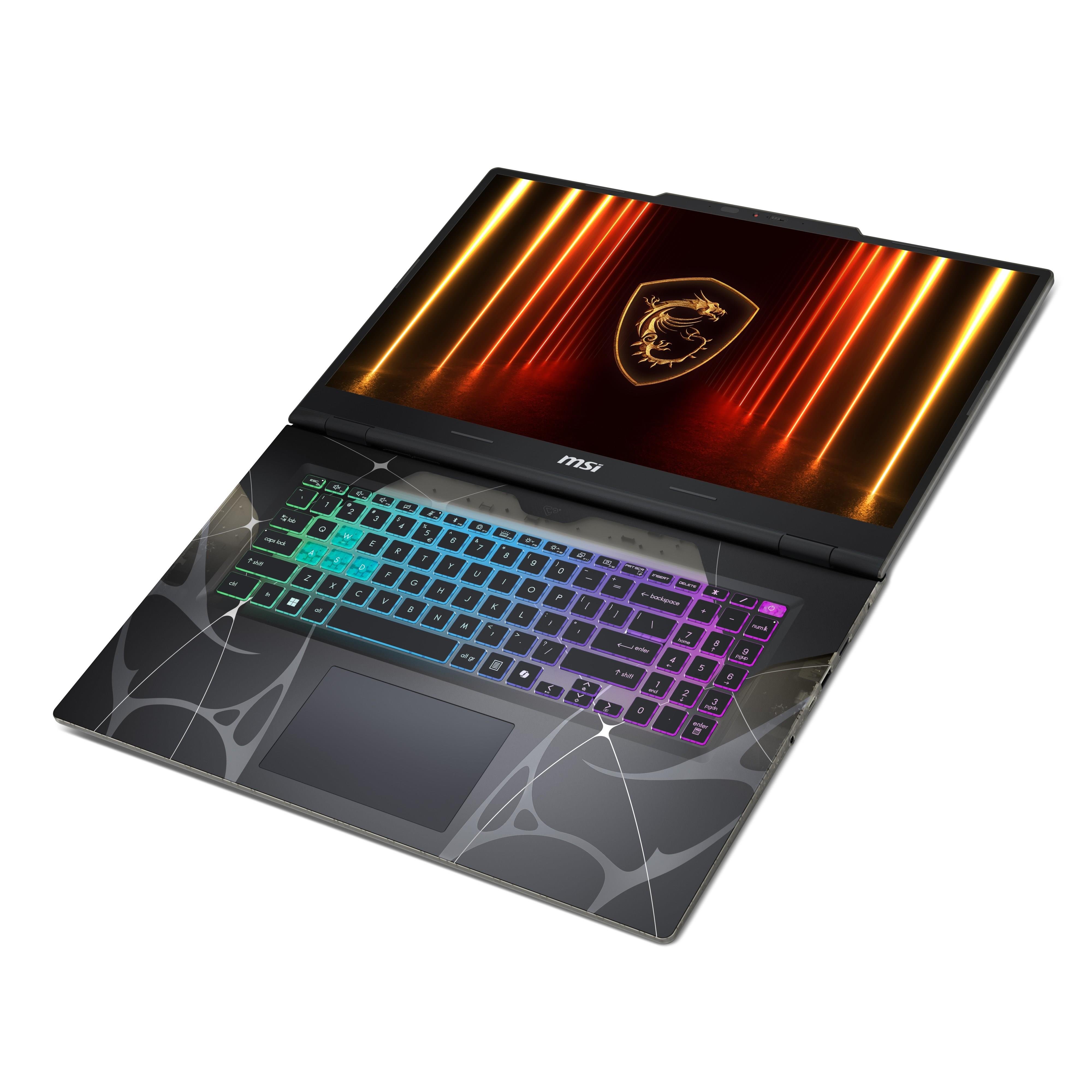 MSI 17.3