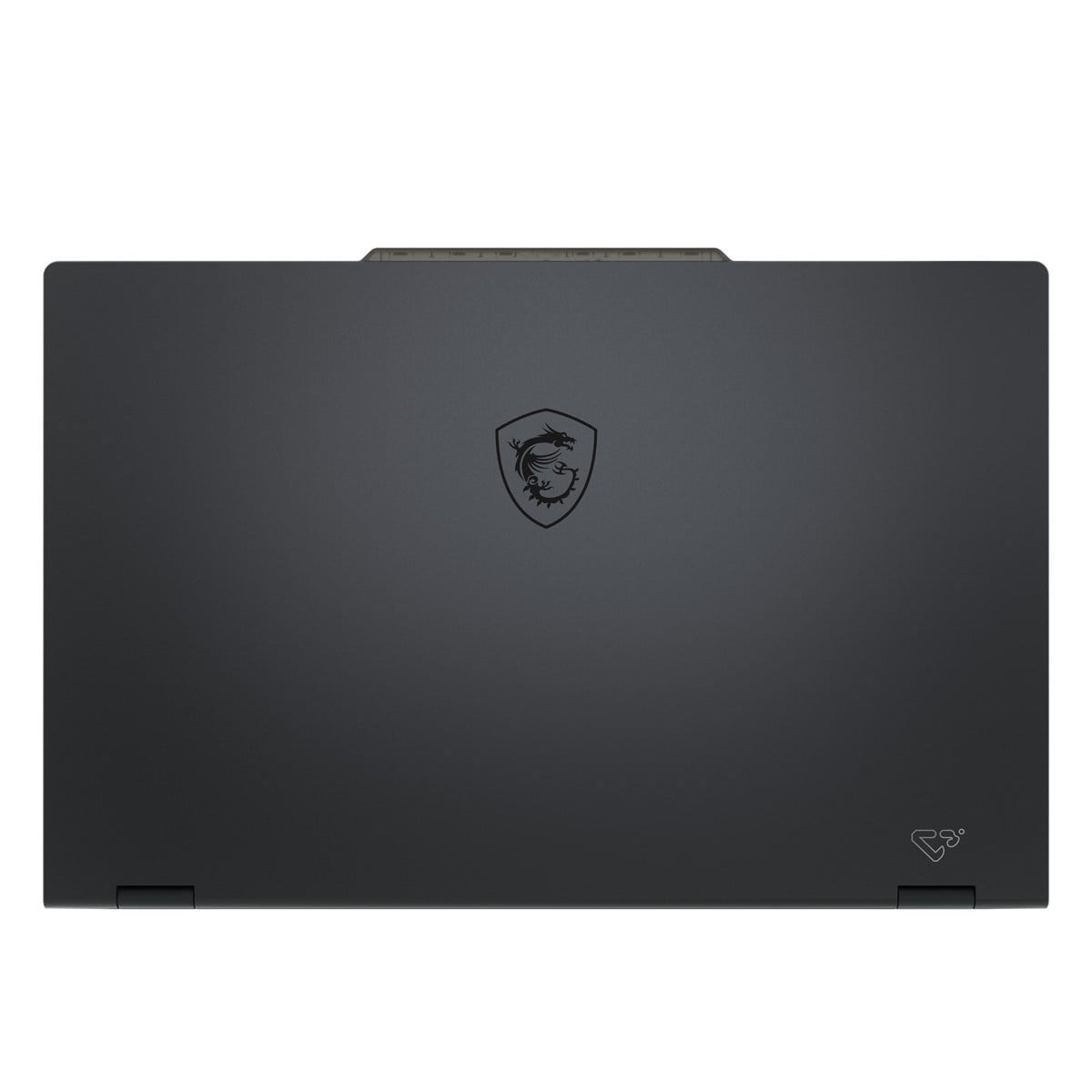 MSI 17.3