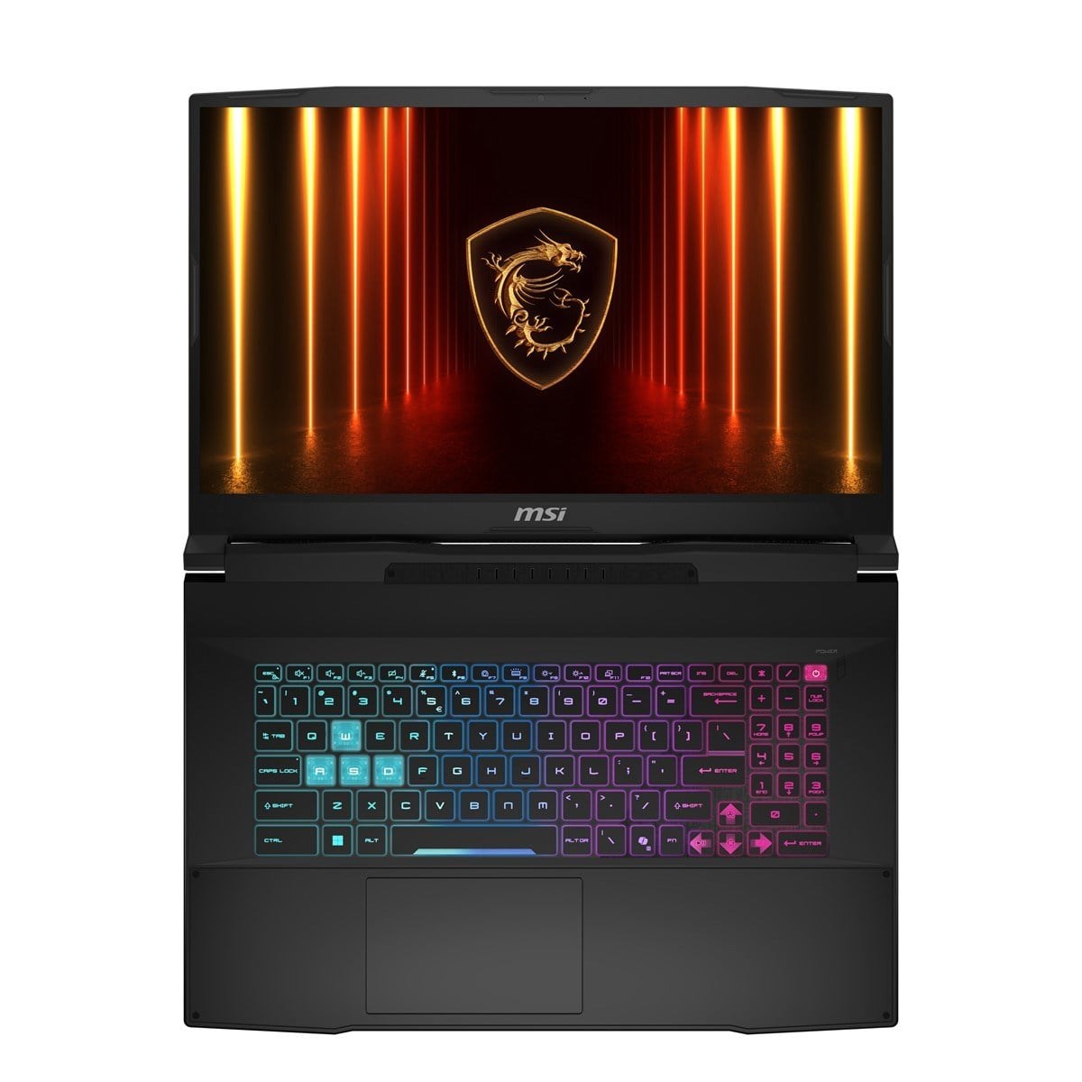 MSI 17.3