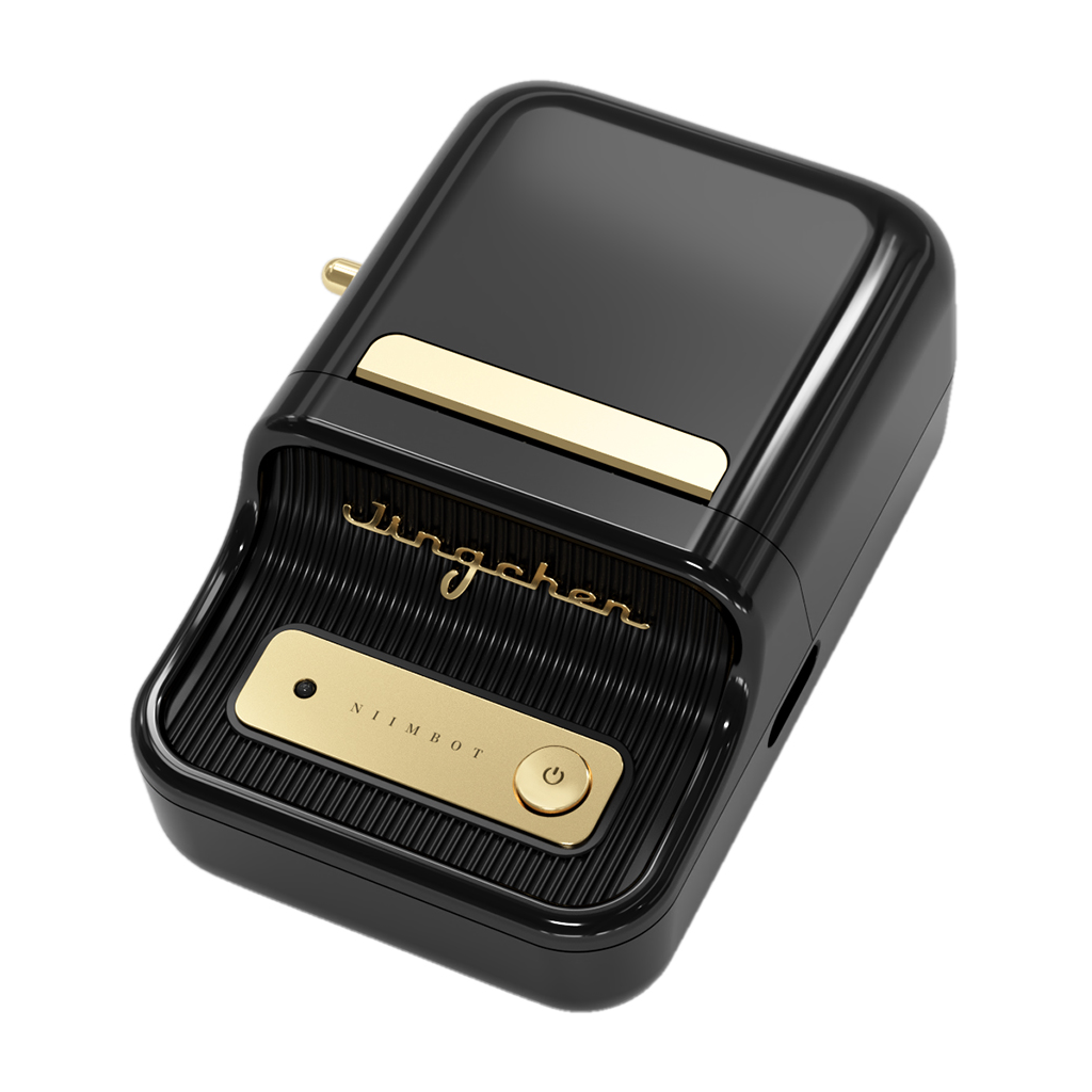 NIIMBOT B21, Taşınabilir, Mürekkepsiz, Termal Etiket Yazıcı (Bluetooth, Type-C) Siyah