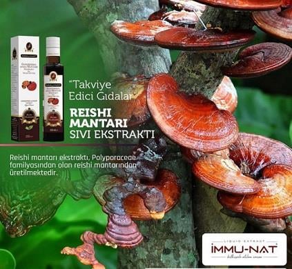 Reishi Mantarı Ekstraktı 250 Ml İmmunat