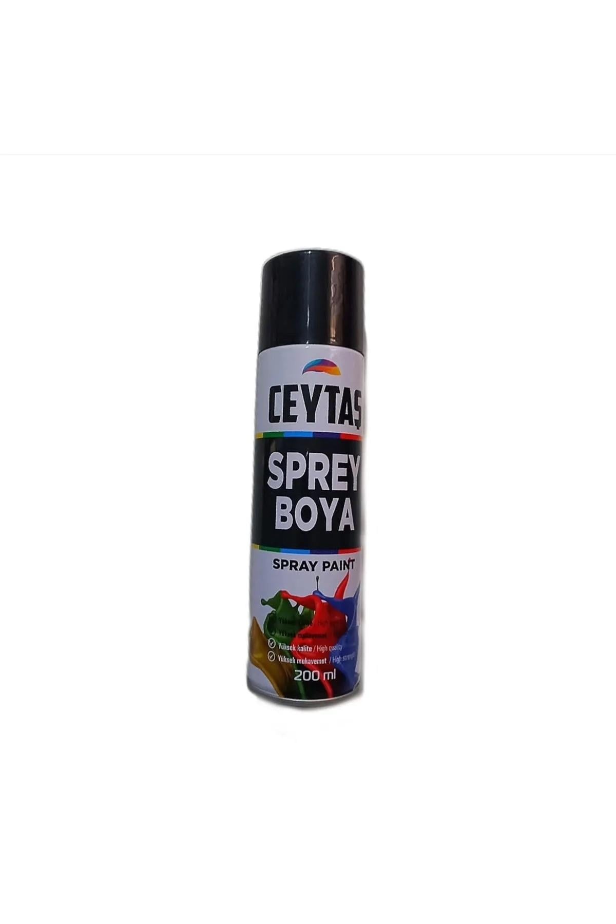 Ceytaş Siyah Sprey Boya 200Ml