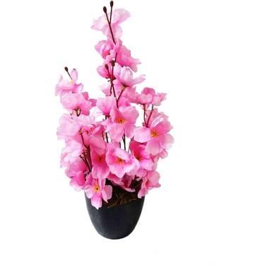 Çılgın Saksıda Bahardalı (K6025)
