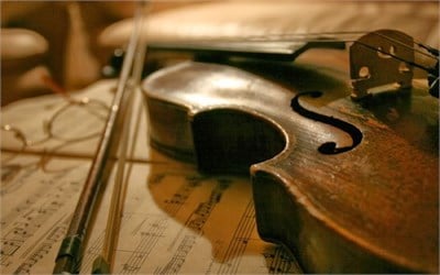 Organik Boncuk Tutkal 250 gr.