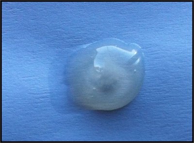 Şeffaf Boncuk Tutkalı 100 gr