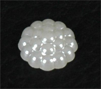 Böğürtlen inci beyaz10 mm(500 gr)