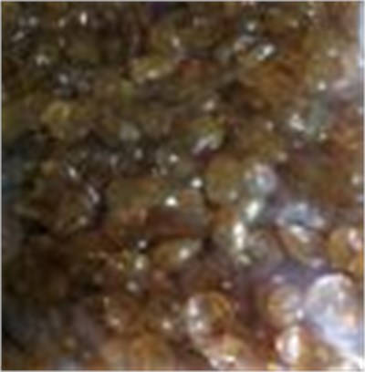 Organik Boncuk Tutkal 250 gr.