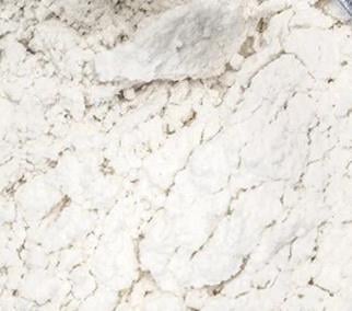 Sodyum Aljinat 100 gr