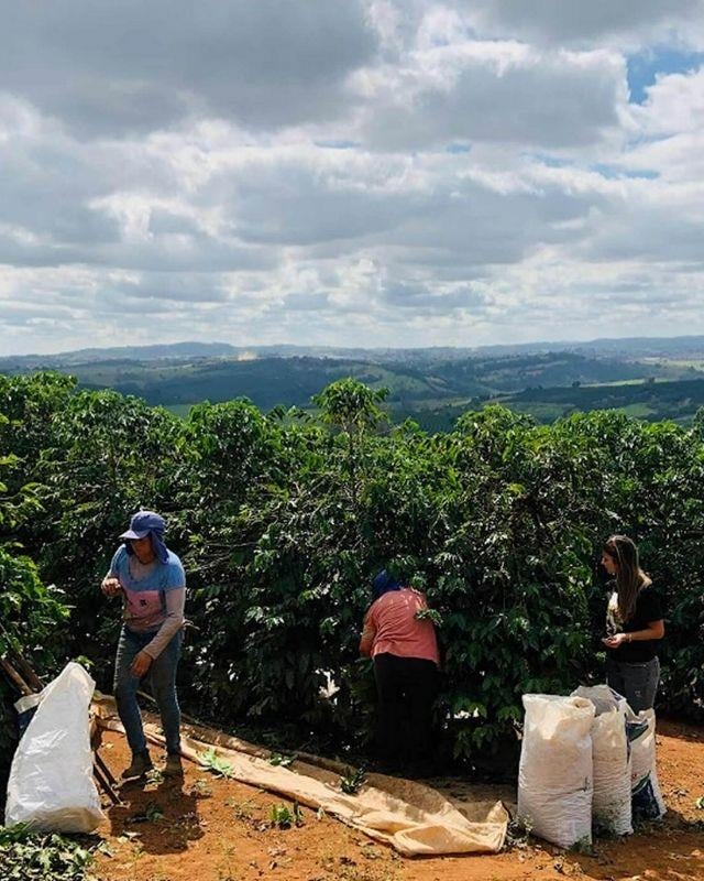 Brazil / Jaguara / Natural