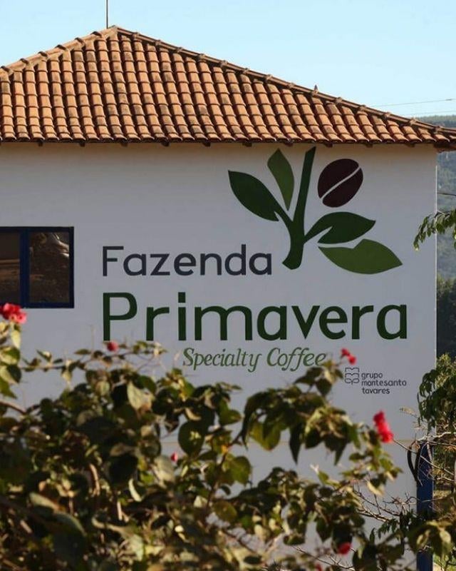 Brazil / Primavera / Pulped Natural