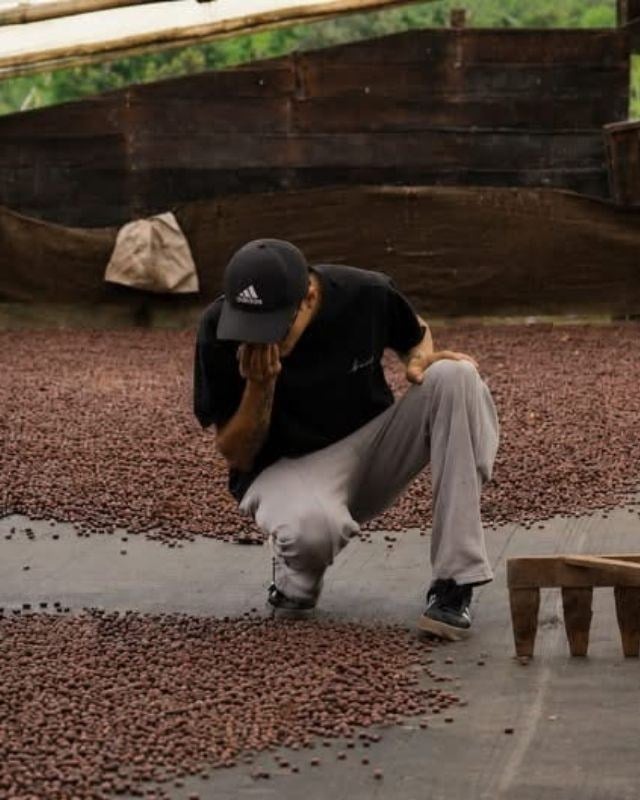 Colombia / Ambera Farm / Peach Co - Ferment