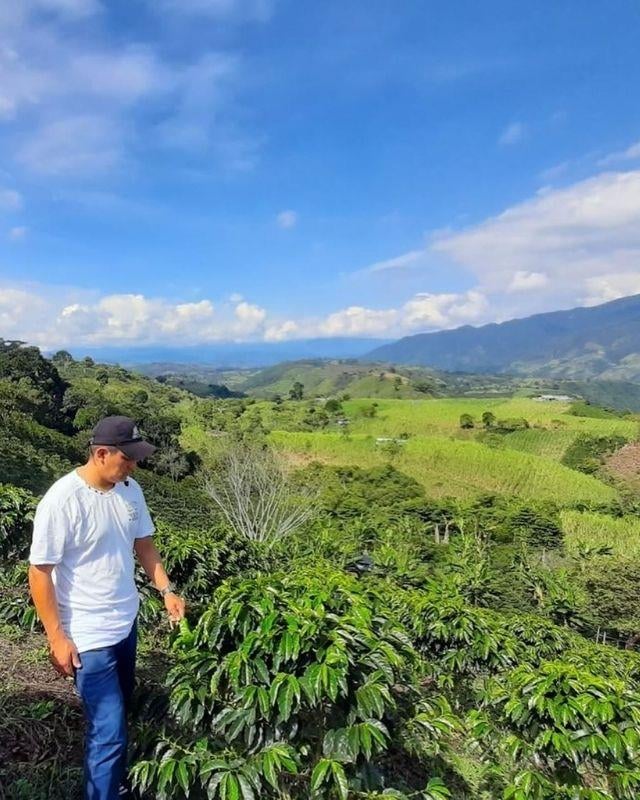 Colombia / Caramanta / Washed