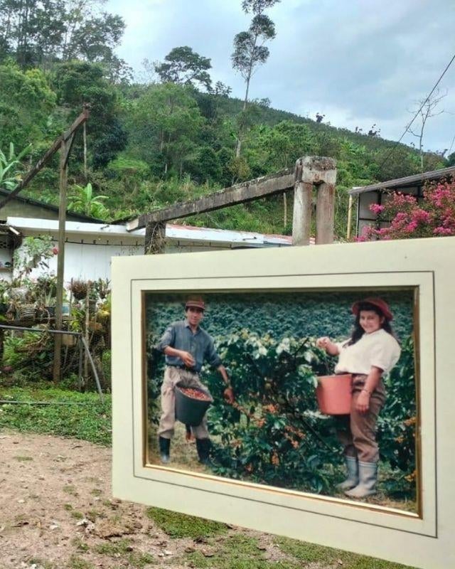 Colombia / El Porvenir / EF Natural