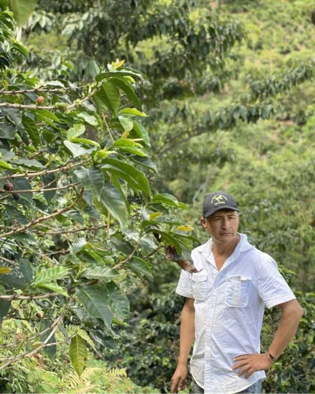 Colombia / La Cinta / Natural