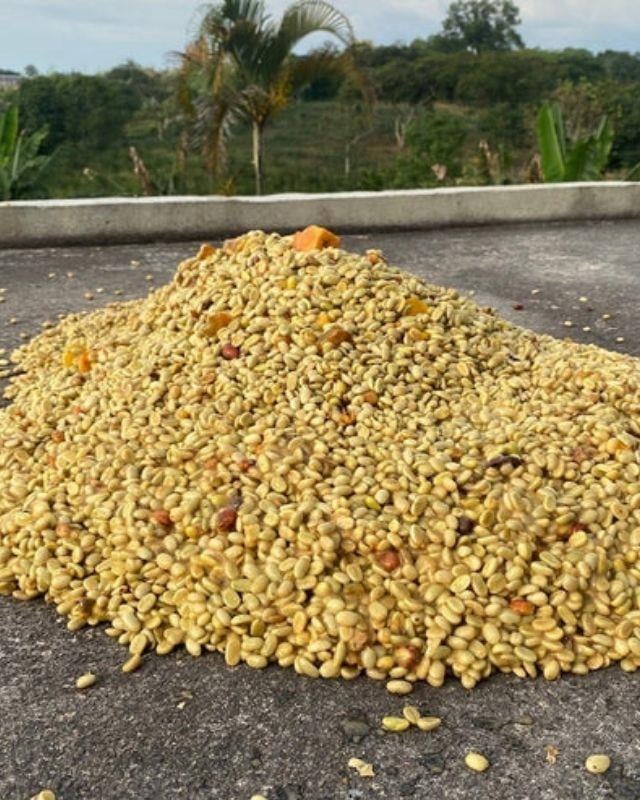 Colombia / La Sirena / Osmotic Dehydration Peach Co-Ferment