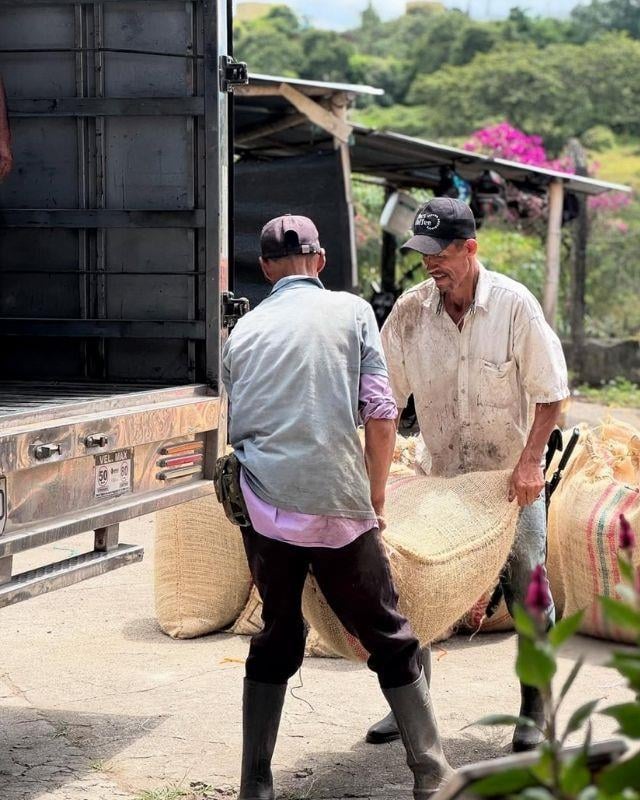 Colombia / La Sirena / Osmotic Dehydration Peach Co-Ferment