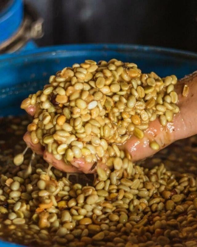 Colombia / Monteblanco / Blueberry Washed