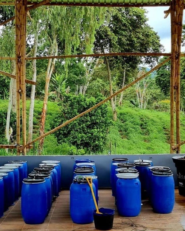 Colombia / Monteblanco / Blueberry Washed