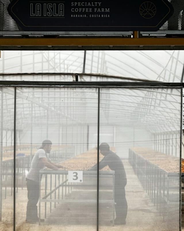 Costa Rica / La Isla / Honey Process
