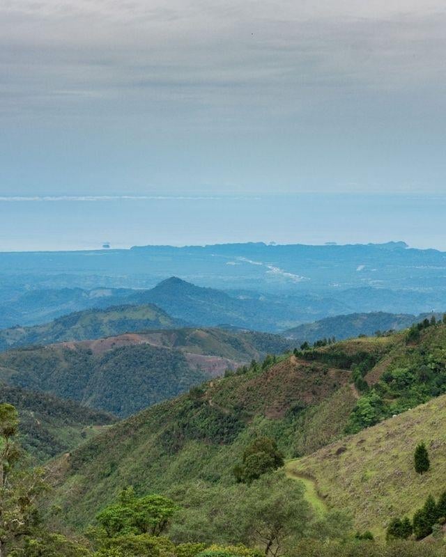 Costa Rica / Los Robles / Natural Reposado