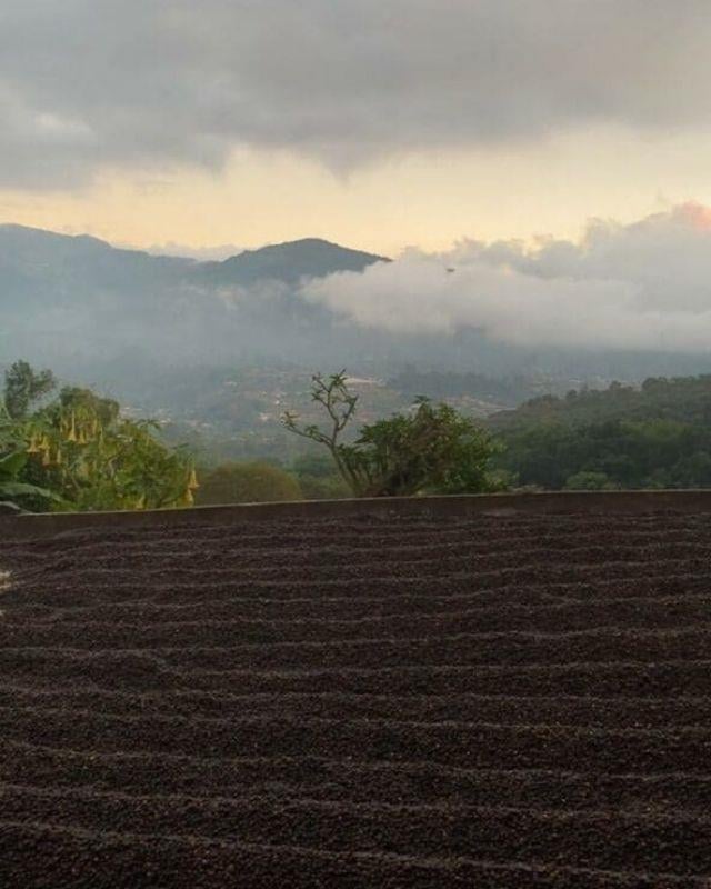 Costa Rica / Los Robles / Natural Reposado
