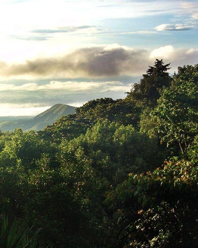 El Salvador / La Esperanza / Heirloom Natural